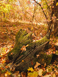 Similar image 21934826