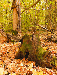 Similar image 21934827