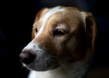 Similar image 21933242