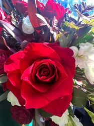 Similar image 21937720