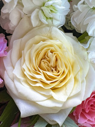 Similar image 21937721