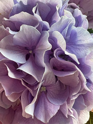 Similar image 21937722