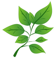 Similar image 21938132