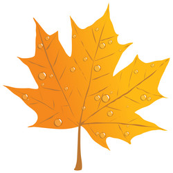 Similar image 21934329