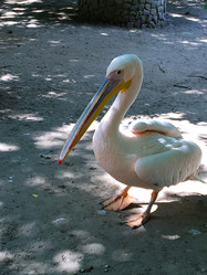 Similar image 21934832