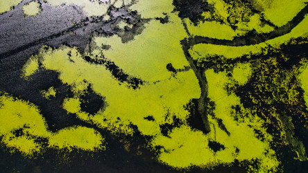 Similar image 21936050