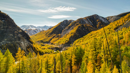 Similar image 21936056