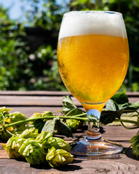 Similar image 21934834