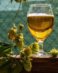 Similar image 21934835