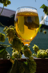 Similar image 21934836