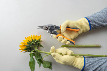 Similar image 21941392