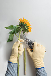 Similar image 21941393