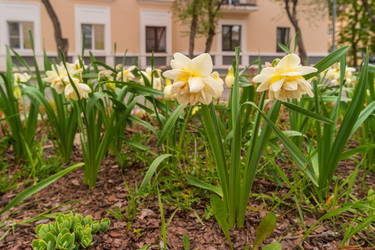 Similar image 21934900