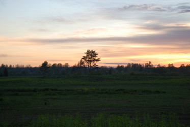 Similar image 21938240