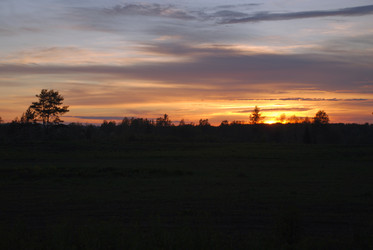 Similar image 21938241