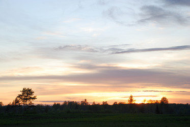 Similar image 21938521