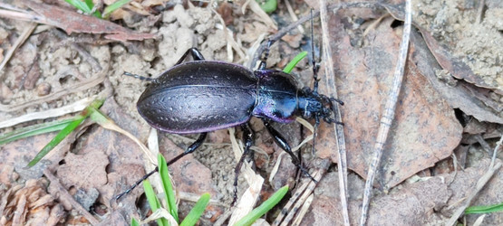 Similar image 21934846