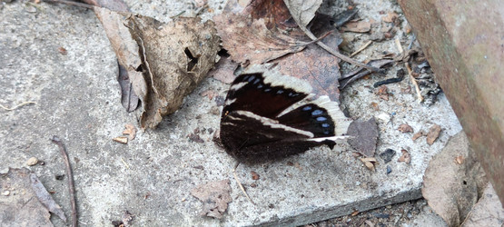 Similar image 21934847