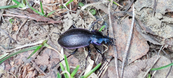 Similar image 21938523