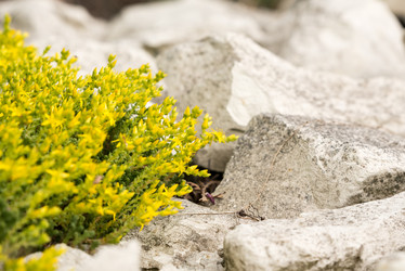 Similar image 21933949