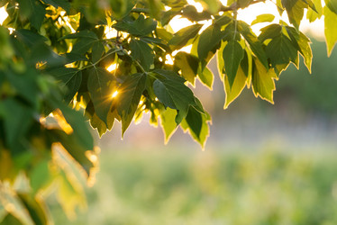 Similar image 21933951