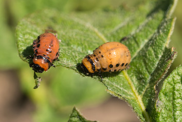 Similar image 21933956