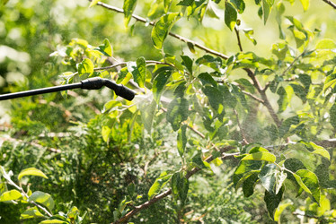 Similar image 21933962