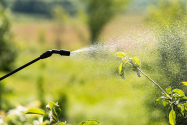 Similar image 21933964