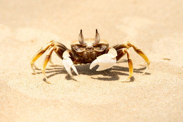 Similar image 21933965