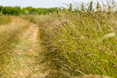 Similar image 21933966