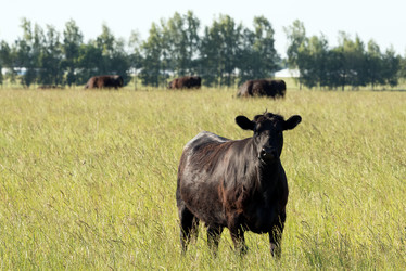 Similar image 21933969