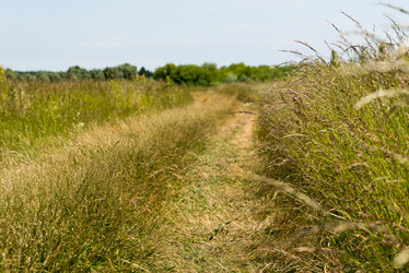 Similar image 21933973