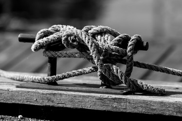 Similar image 21933974