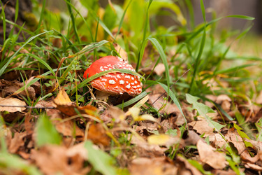 Similar image 21933980