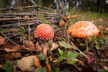 Similar image 21933986