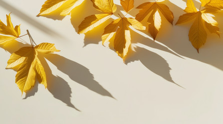 Similar image 21934849