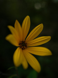 Similar image 21935774