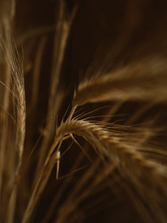 Similar image 21935775