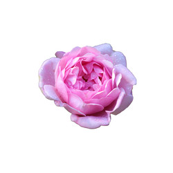 Similar image 21934911