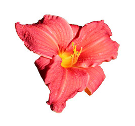 Similar image 21934912