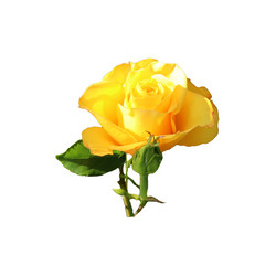 Similar image 21934915