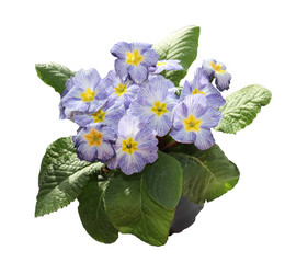 Similar image 21934918