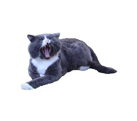 Similar image 21945670