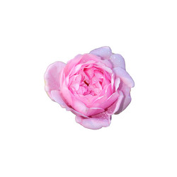 Similar image 21936064