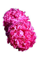 Similar image 21936066