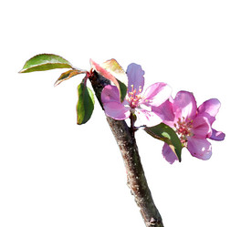 Similar image 21945671