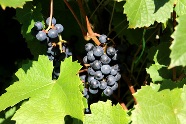 Similar image 21935082