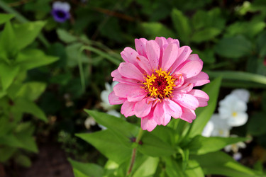 Similar image 21935085