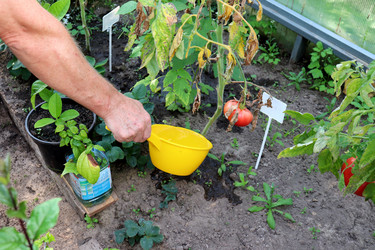 Similar image 21935086