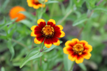 Similar image 21935087